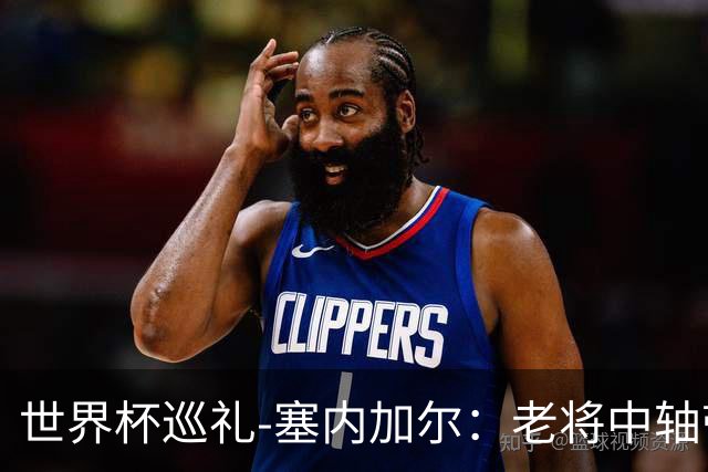 世界杯巡礼-塞内加尔：老将中轴带来安全感，非洲顶流前景可期！